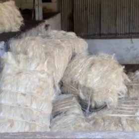 Sisal Fiber for Sale - Grupe Africa Best wholesale suppliers in Africa