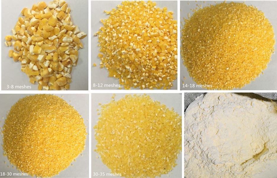 Buy Corn Grits Wholesale Supplier High Qaulty Maize Grits Sales